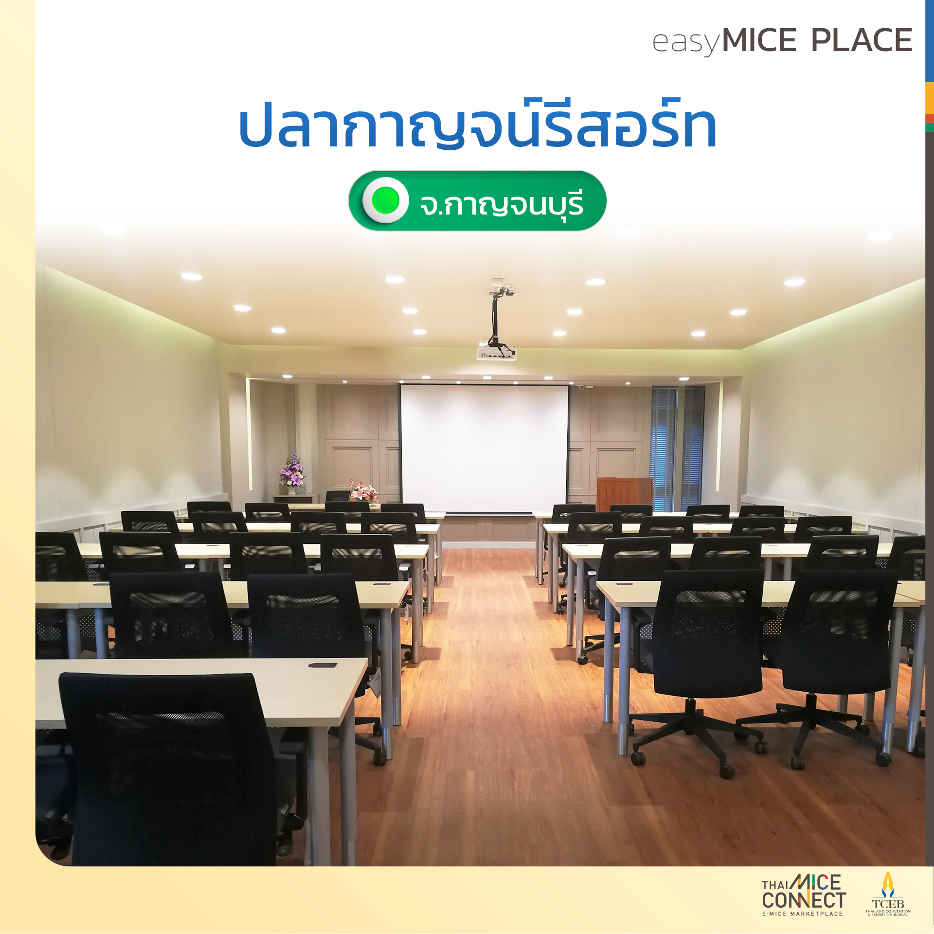 thaimiceconnect_photoalbum_1