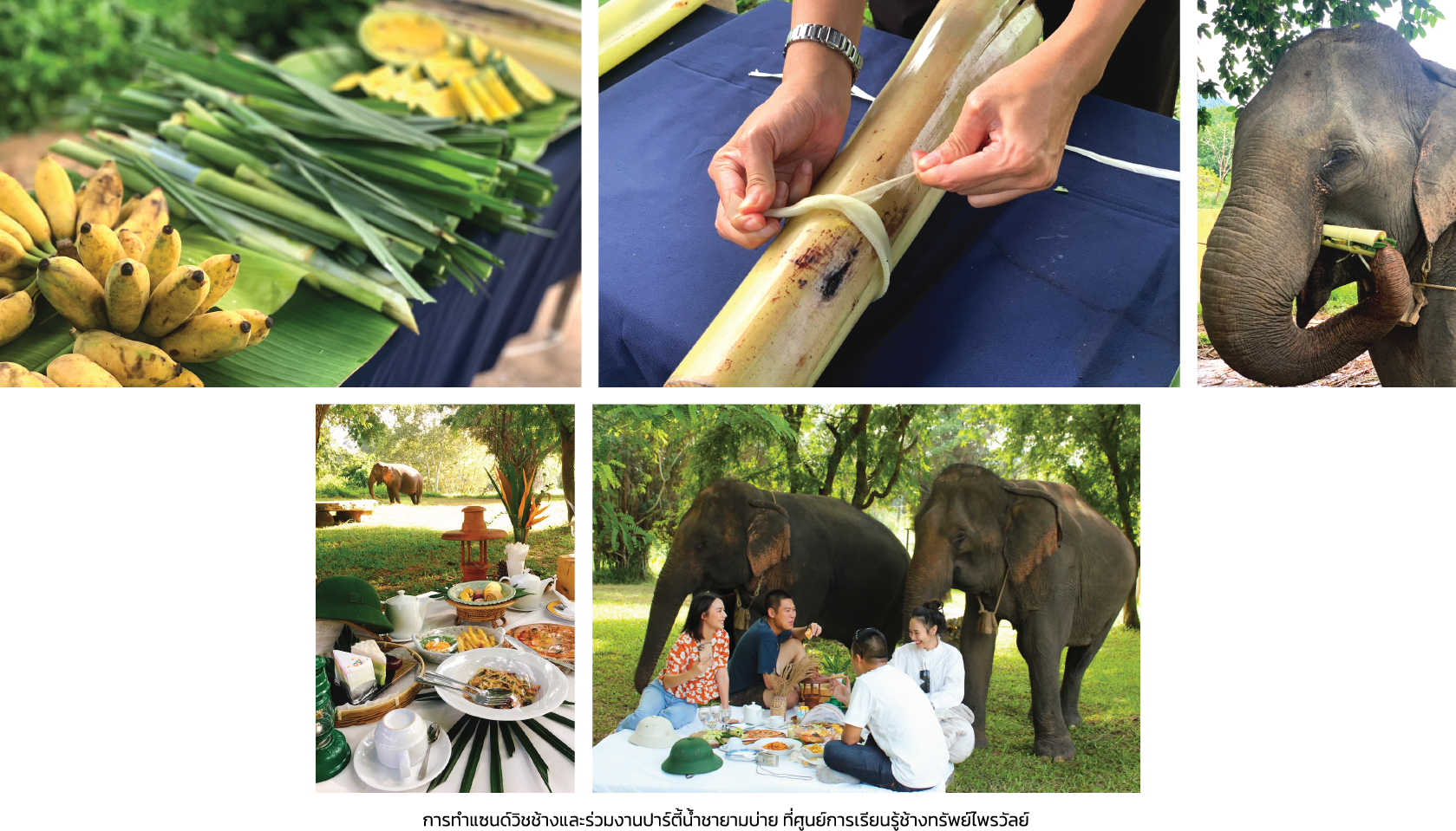 SappraiwanElephantResort