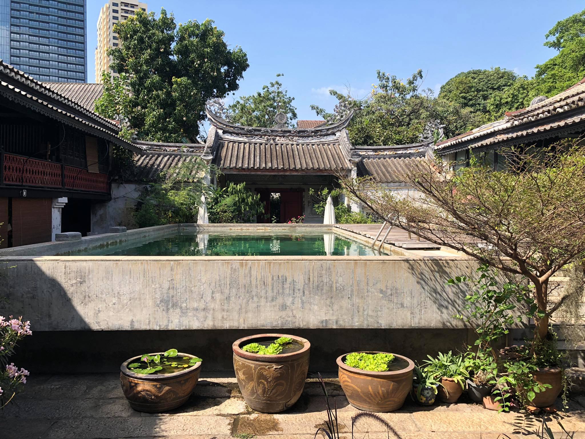 80967288_1746740548790378_853