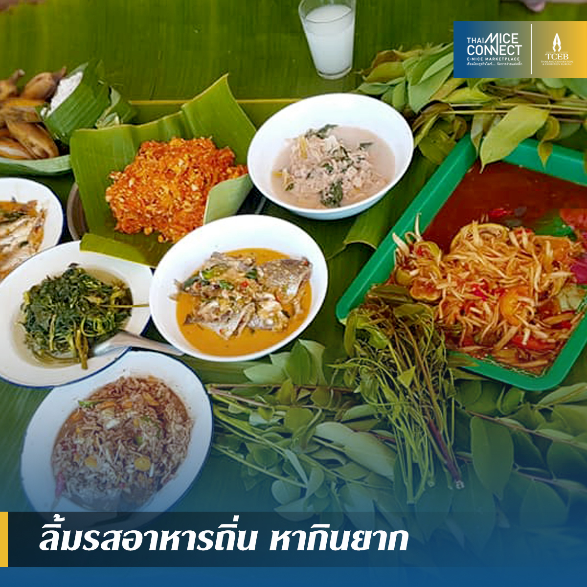 tceb-golocal202010_v1.2